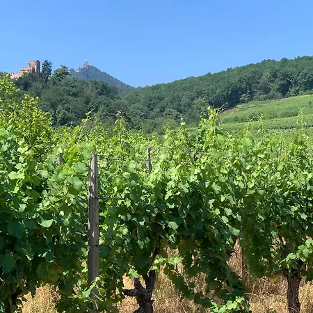 Bonne Idee - Georgette - Meuble De Tourisme 3 Etoiles * Chatenois (Bas-Rhin)